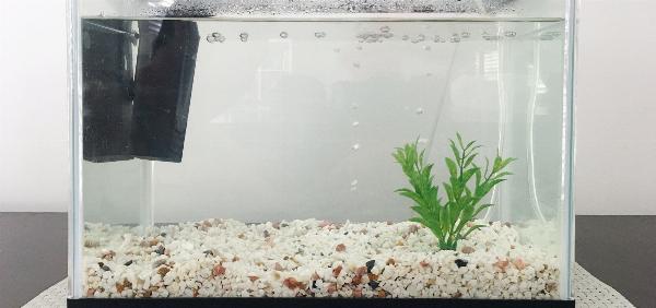 Quantos peixes cabem no meu aquário?